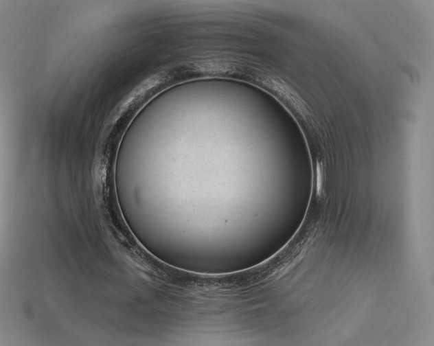 X0000113940723200909251240