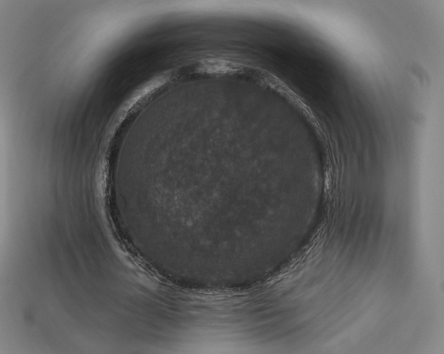 X0000113940724200909251240