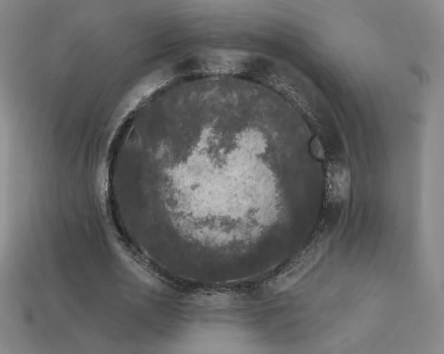 X0000113940726200909251240