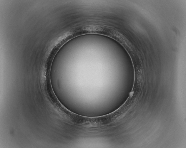 X0000113940727200909251240