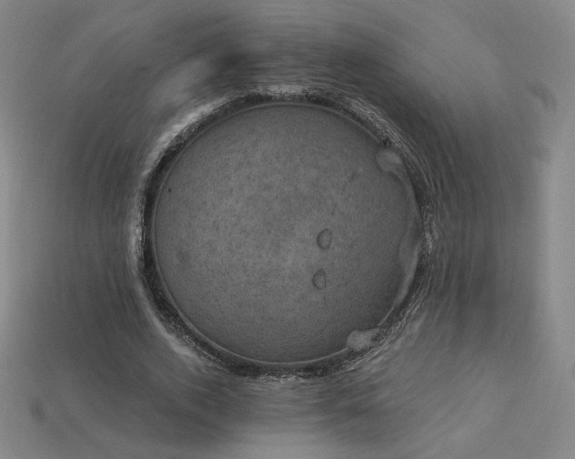 X0000113940728200909251240