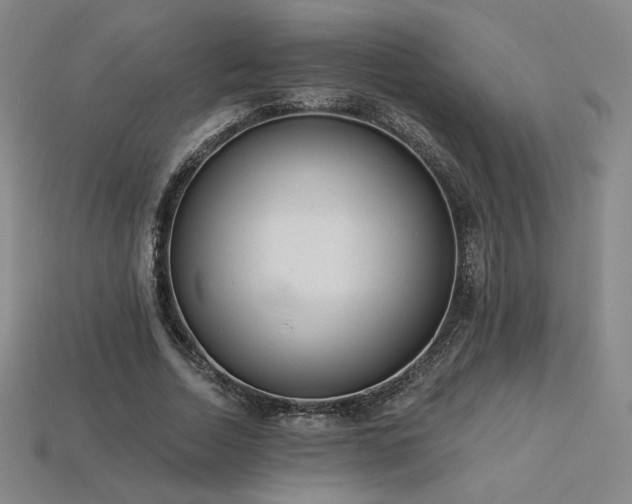 X0000113940730200909251240