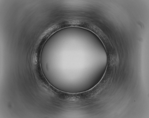 X0000113940731200909251240
