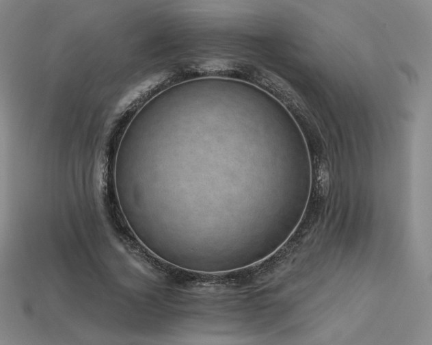 X0000113940732200909251240