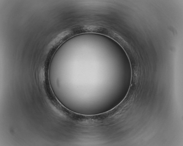 X0000113940734200909251240
