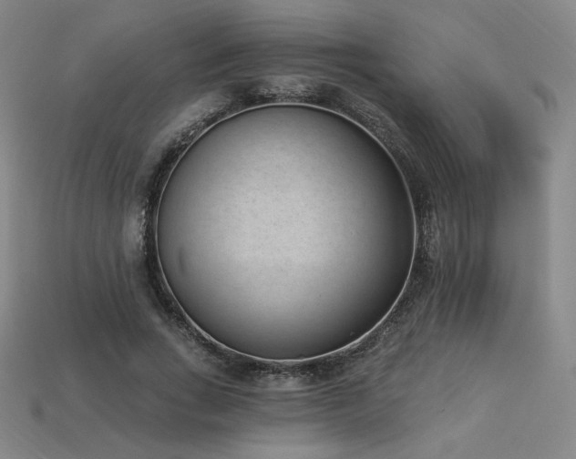 X0000113940735200909251240