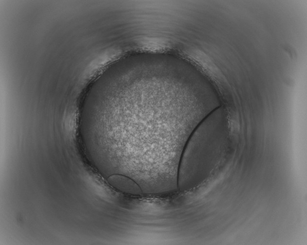 X0000113940736200909251240