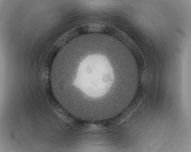 X0000113940737200909251240