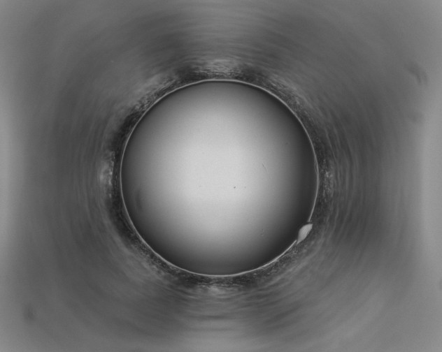 X0000113940739200909251240