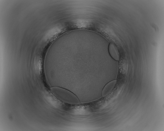 X0000113940740200909251240