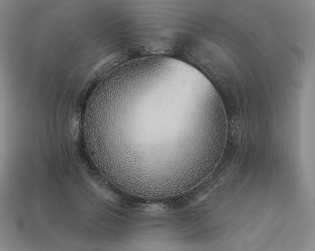 X0000113940741200909251240