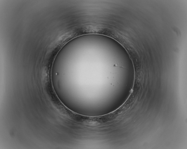 X0000113940743200909251240