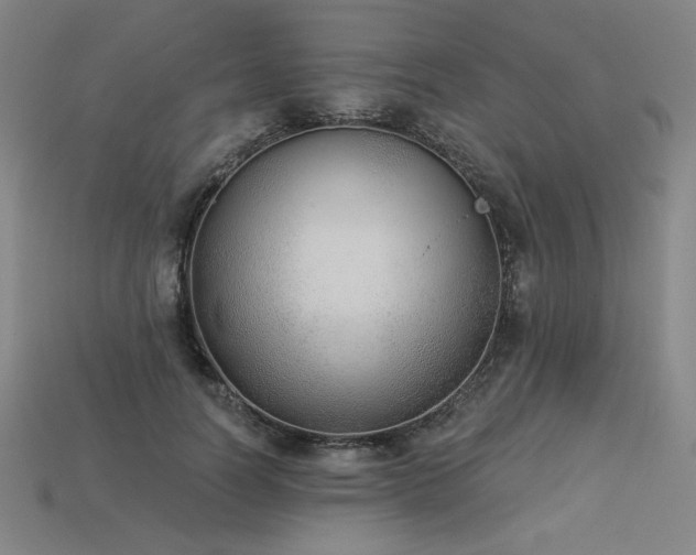 X0000113940746200909251240