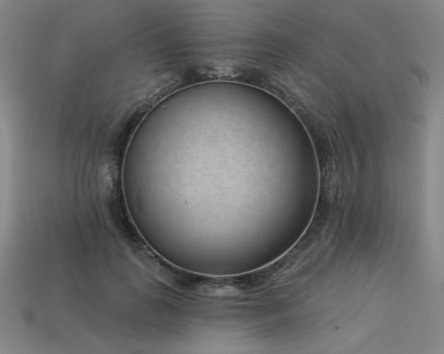 X0000113940747200909251240