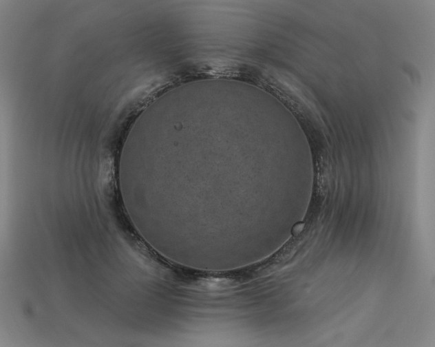 X0000113940748200909251240