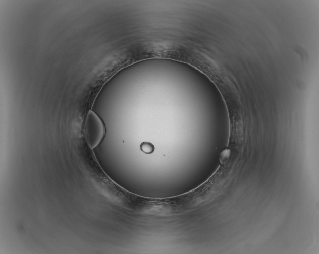 X0000113940750200909251240