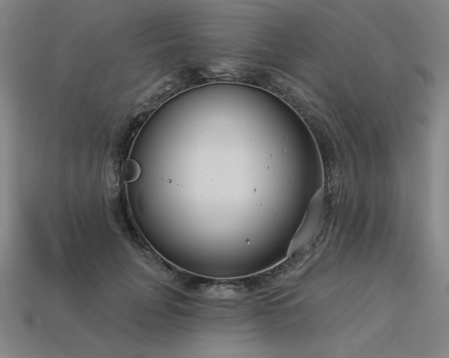 X0000113940751200909251240