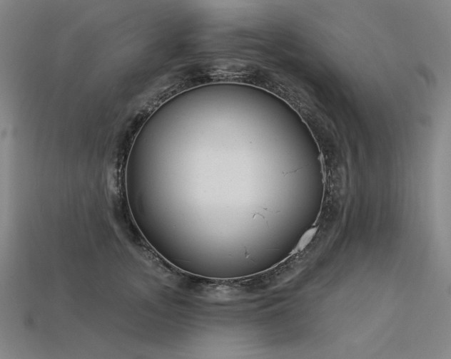 X0000113940755200909251240