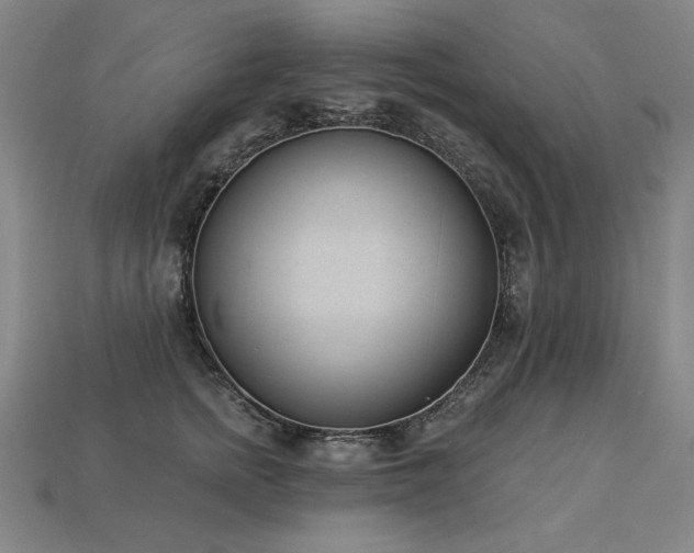 X0000113940758200909251240