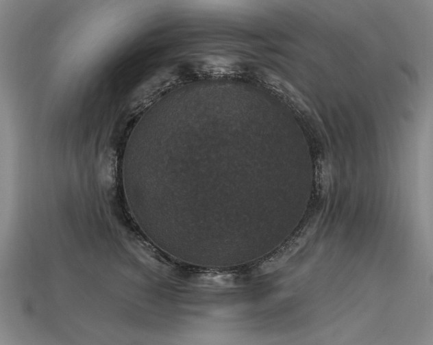X0000113940760200909251240