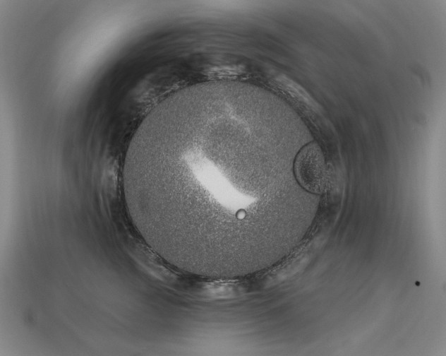 X0000113940761200909251240