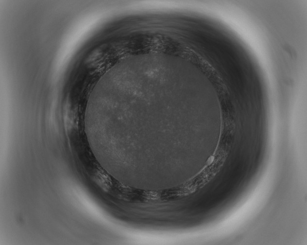 X0000113940766200909251240