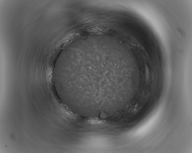 X0000113940767200909251240
