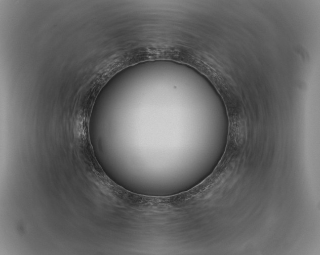 X0000113940770200909251239