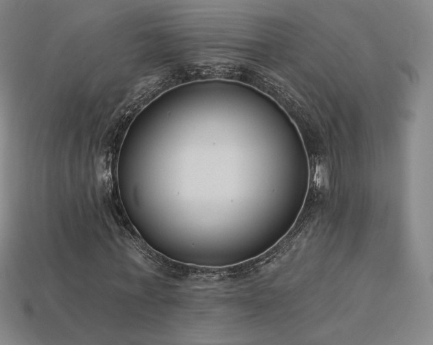 X0000113940771200909251239