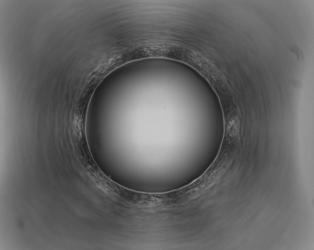 X0000113940772200909251239
