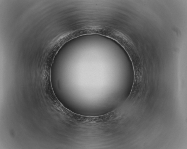 X0000113940773200909251239
