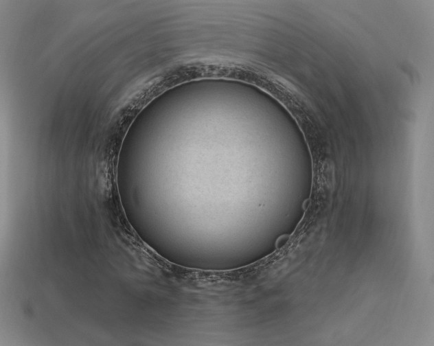 X0000113940774200909251239