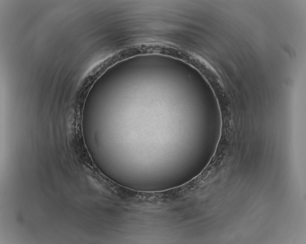 X0000113940775200909251239