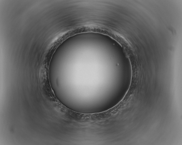 X0000113940776200909251239