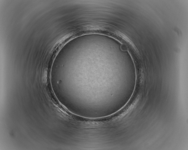 X0000113940777200909251239