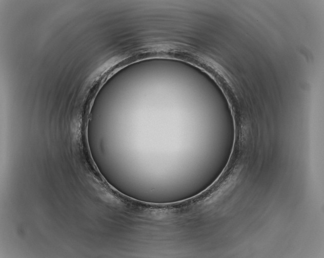X0000113940778200909251239