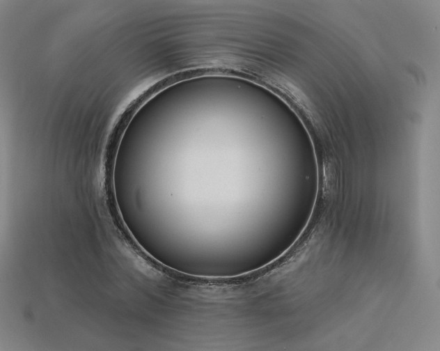 X0000113940780200909251239