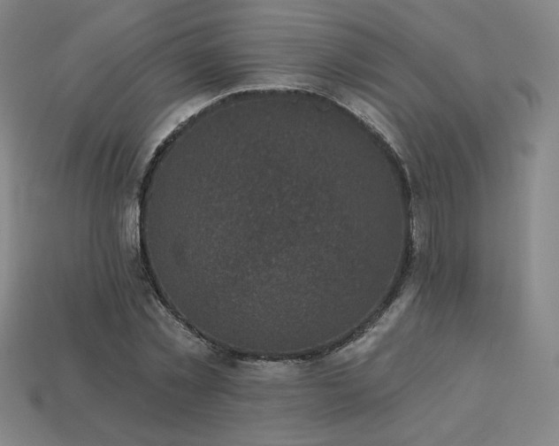 X0000113940781200909251239