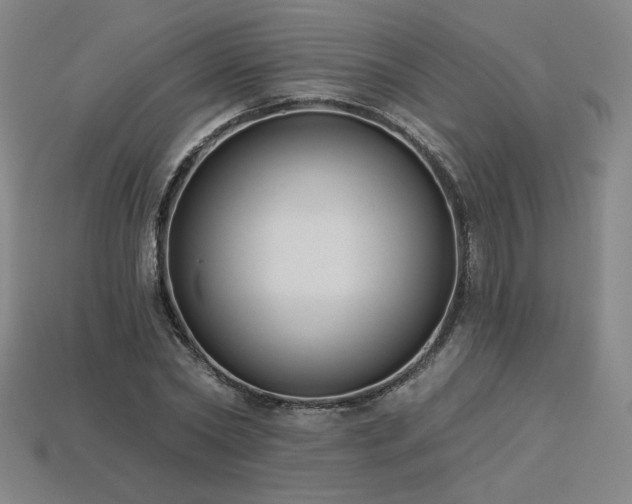 X0000113940782200909251239
