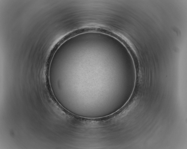 X0000113940783200909251239
