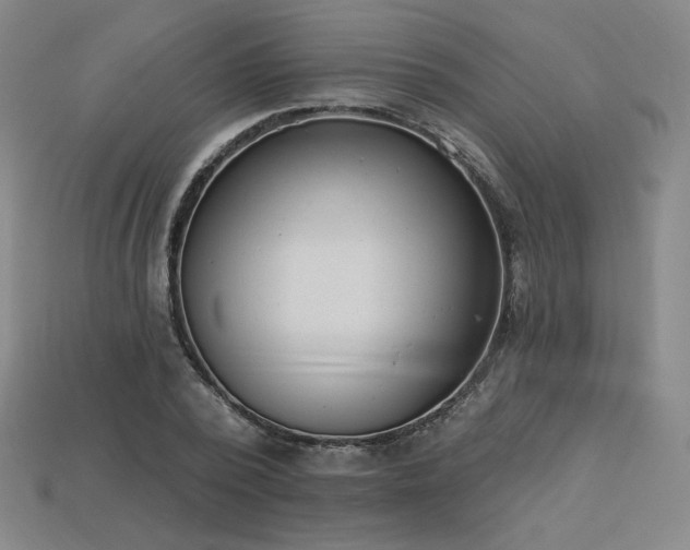 X0000113940784200909251239