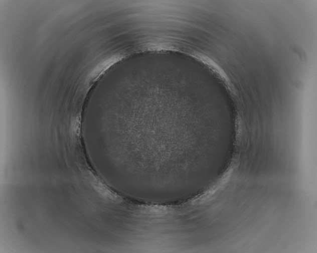 X0000113940785200909251239