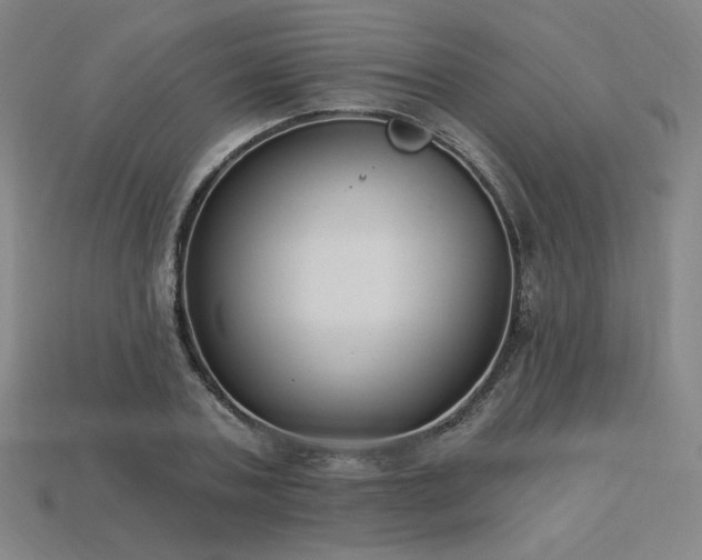 X0000113940787200909251239