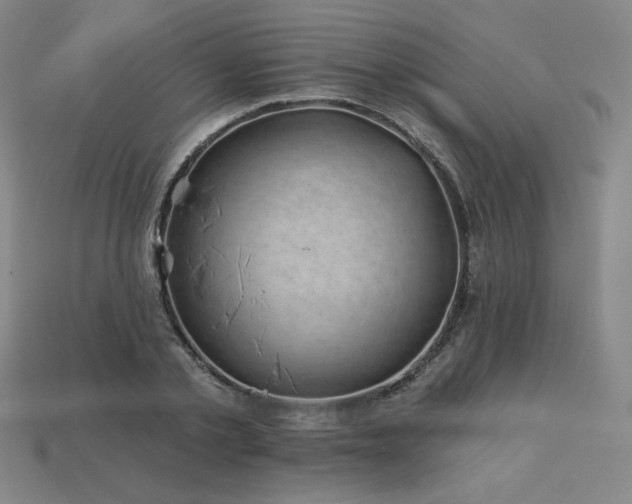 X0000113940789200909251239