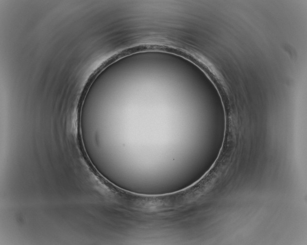 X0000113940791200909251239