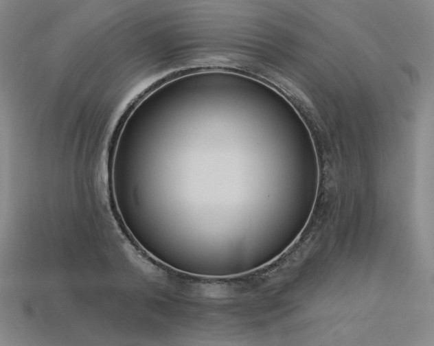 X0000113940792200909251239