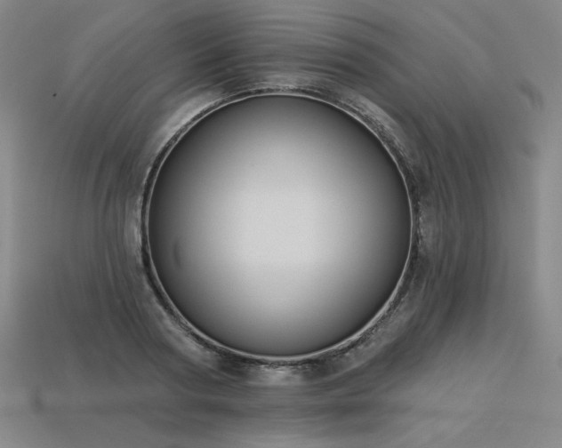 X0000113940794200909251239