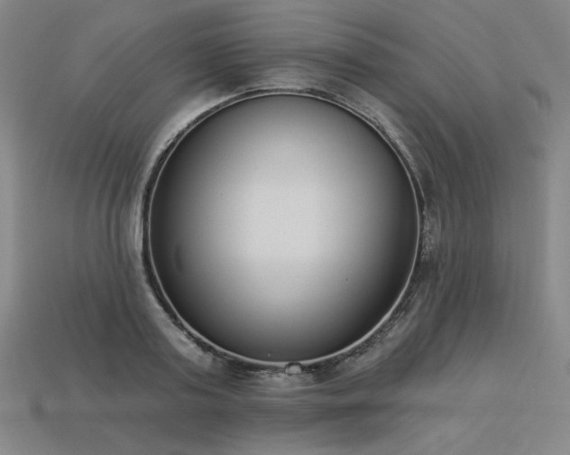 X0000113940795200909251239