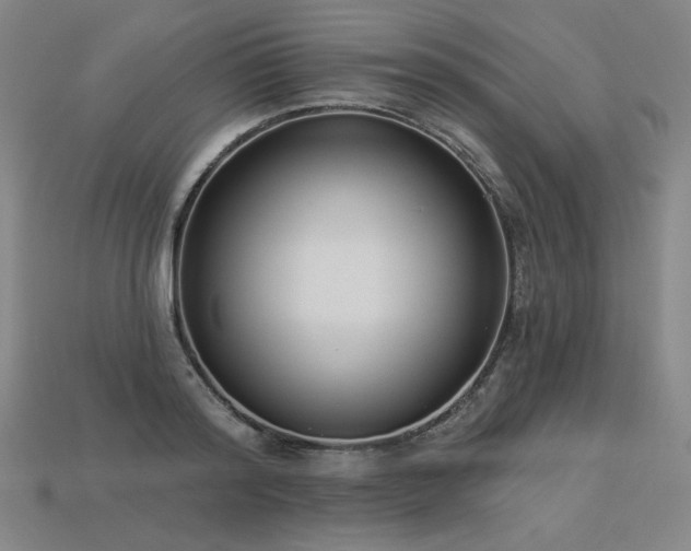 X0000113940796200909251239