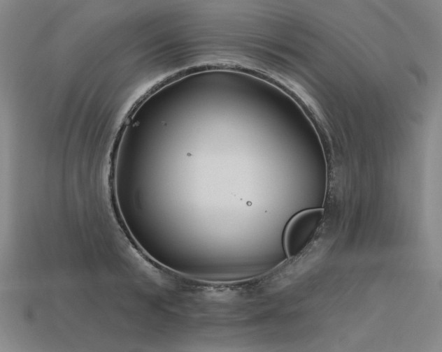 X0000113940799200909251239